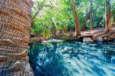 Thermalpool Mataranka